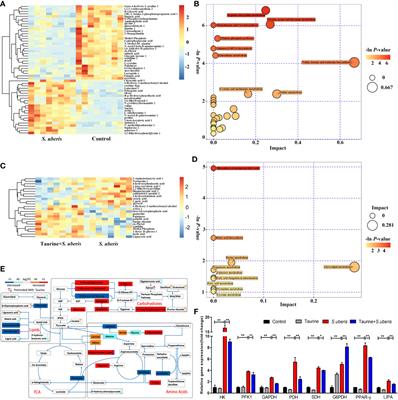 Taurine Reprograms Mammary-Gland Metabolism and Alleviates Inflammation Induced by Streptococcus uberis in Mice